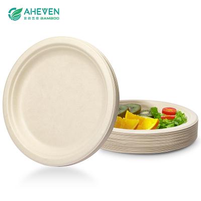 bagasse plates