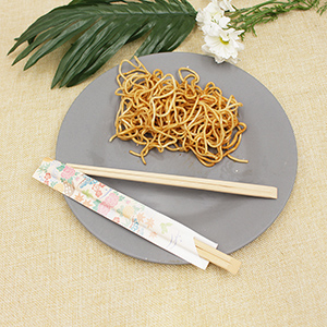 HOW TO USE CHOPSTICKS